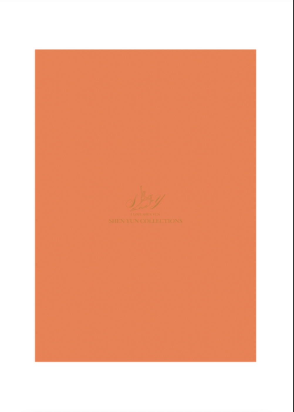 Medium Envelope Bag 26x37cm