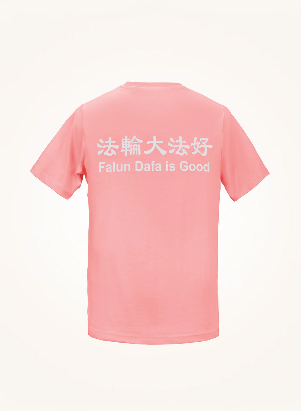 Falun Dafa is Good
T-Shirt