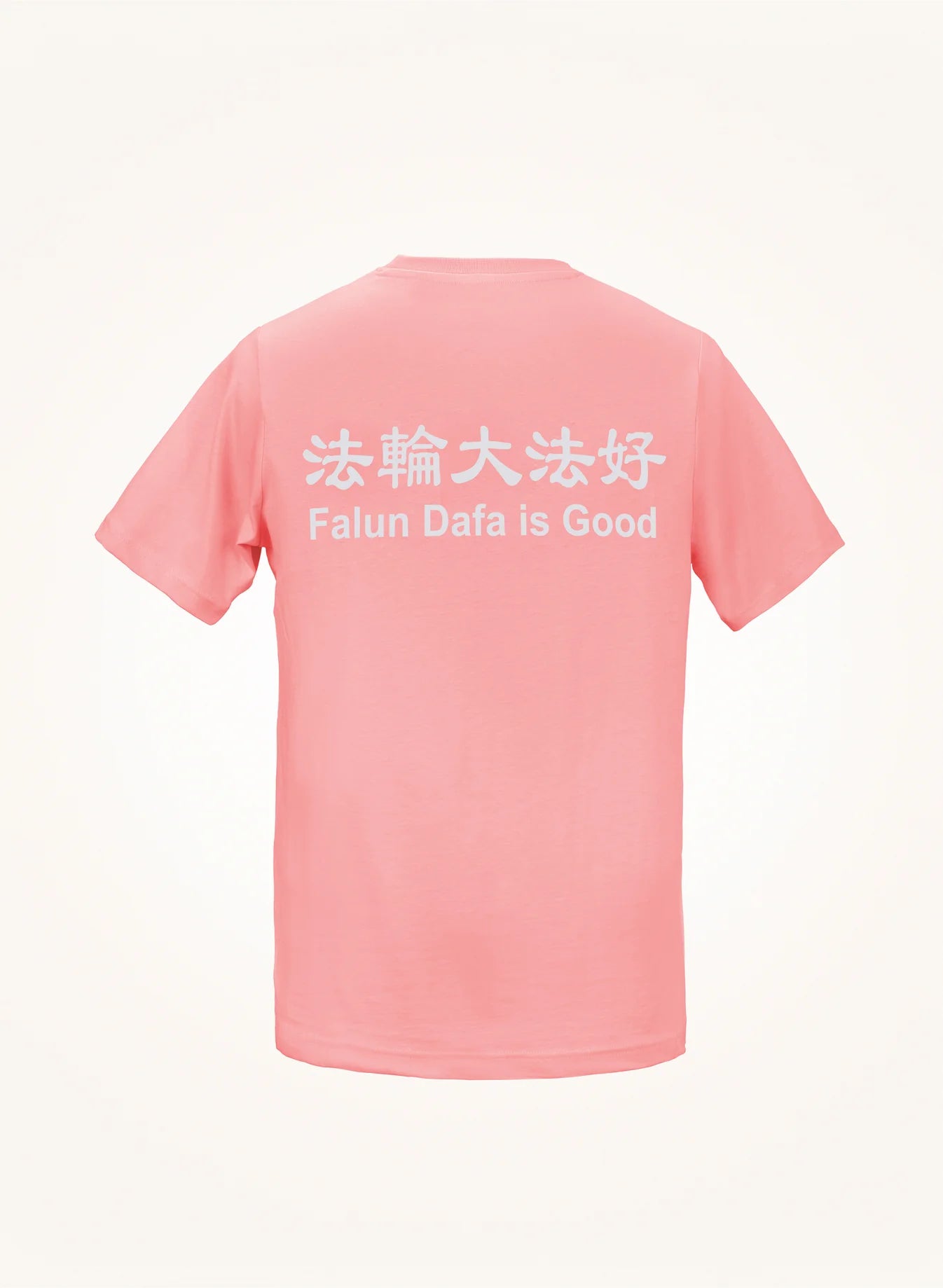 Falun Dafa is Good
T-Shirt